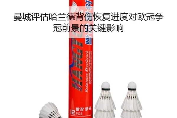 曼城评估哈兰德背伤恢复进度对欧冠争冠前景的关键影响