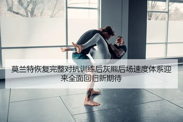 莫兰特恢复完整对抗训练后灰熊后场速度体系迎来全面回归新期待